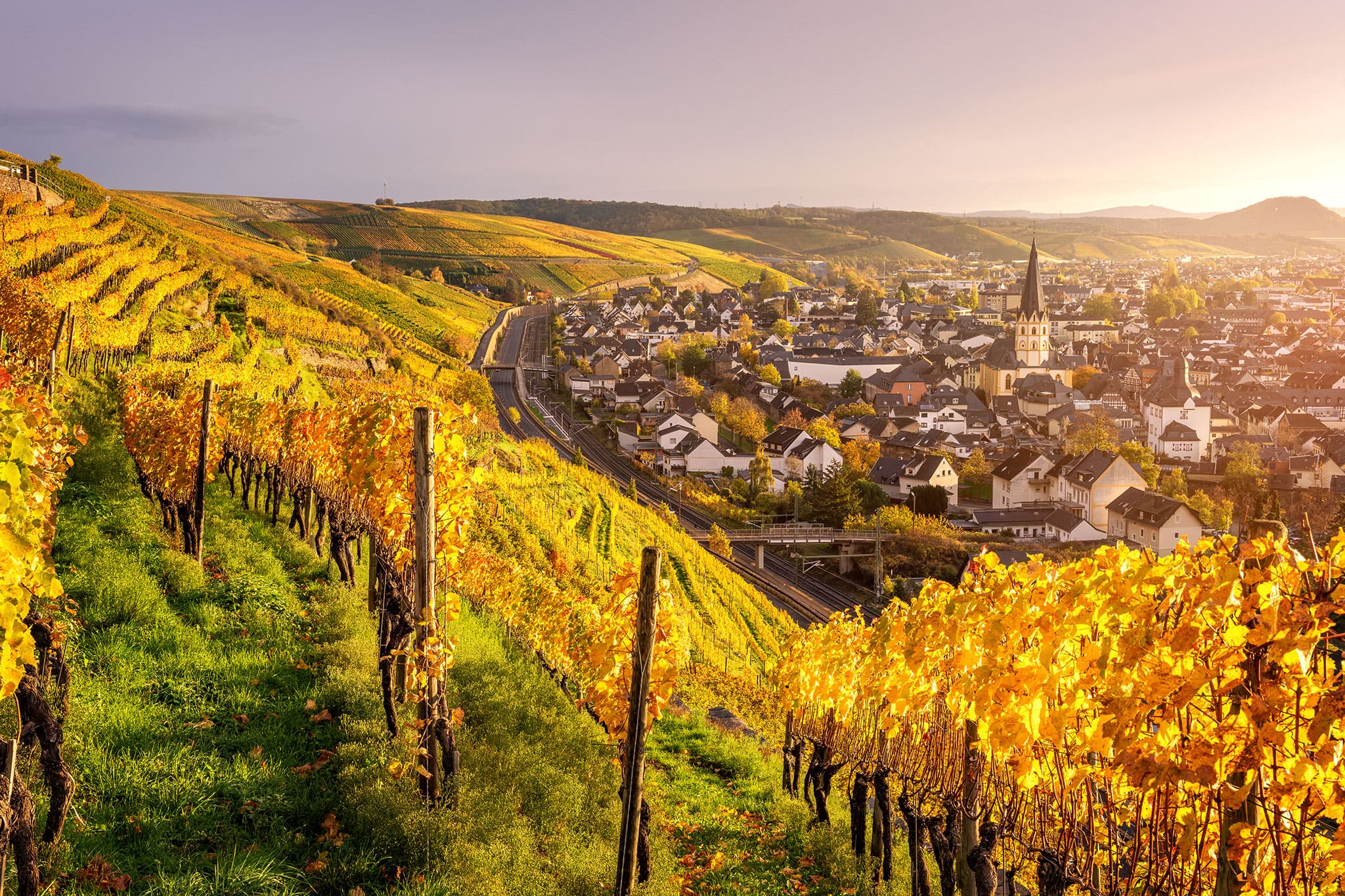 Goldener Blick mit Weinbergen über Ahrweiler im Ahrtal – Kai Schneiders